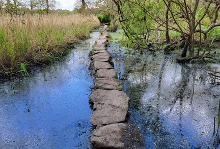 Pont gallo-romain de Gras