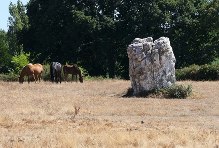 Menhir Pierre Blanche