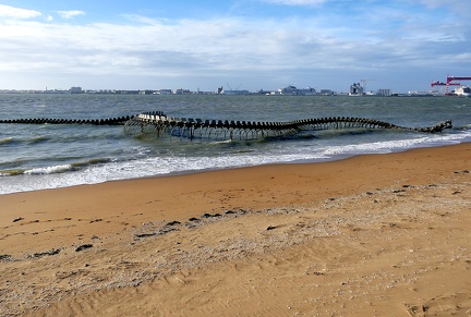 Serpent de mer