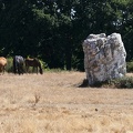 Menhir Pierre Blanche
