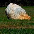 Menhir à Trignac