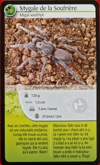 Defis-Nature-Guadeloupe-1