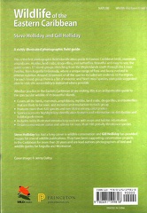 Wildlife Eastern Caribbean-0