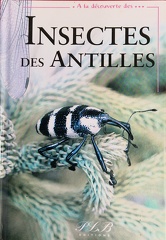 InsectesAF