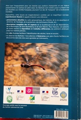 LibellulesAF-2