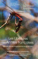 LibellulesAF-1