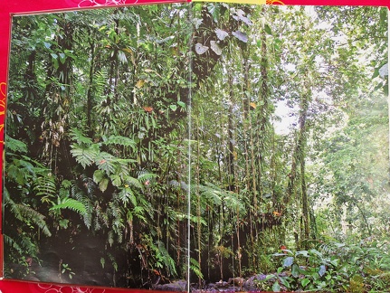 LivreRougeAF-1