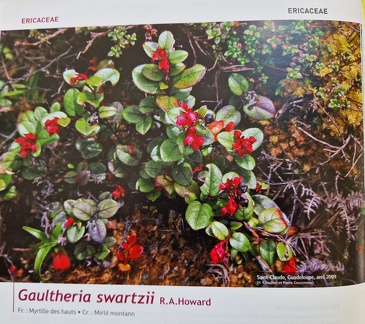 LivreRougeAF-5