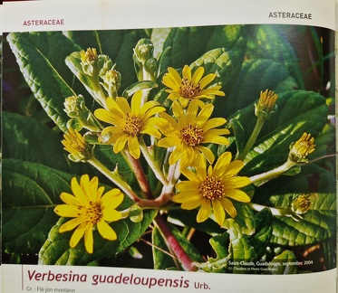 LivreRougeAF-6