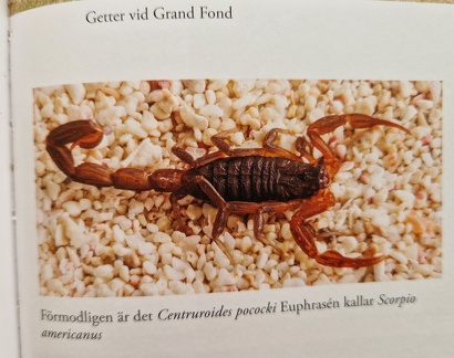 Naturvetare-1