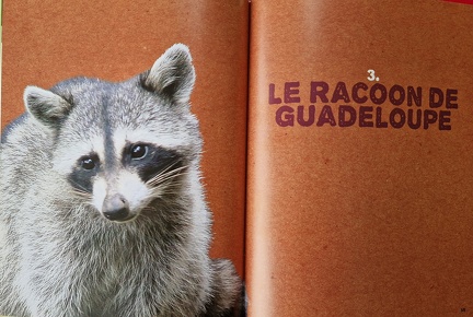 SOS-Animaux-1